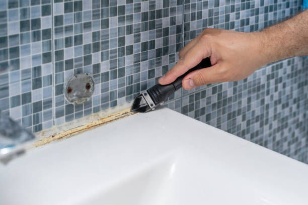 Best Industrial Mold Remediation in Big River, CA