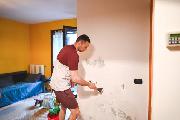Best Commercial Mold Remediation in Big River, CA